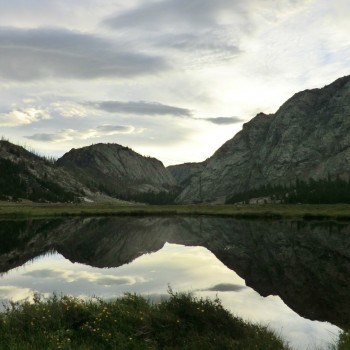 Big Meadow Morning