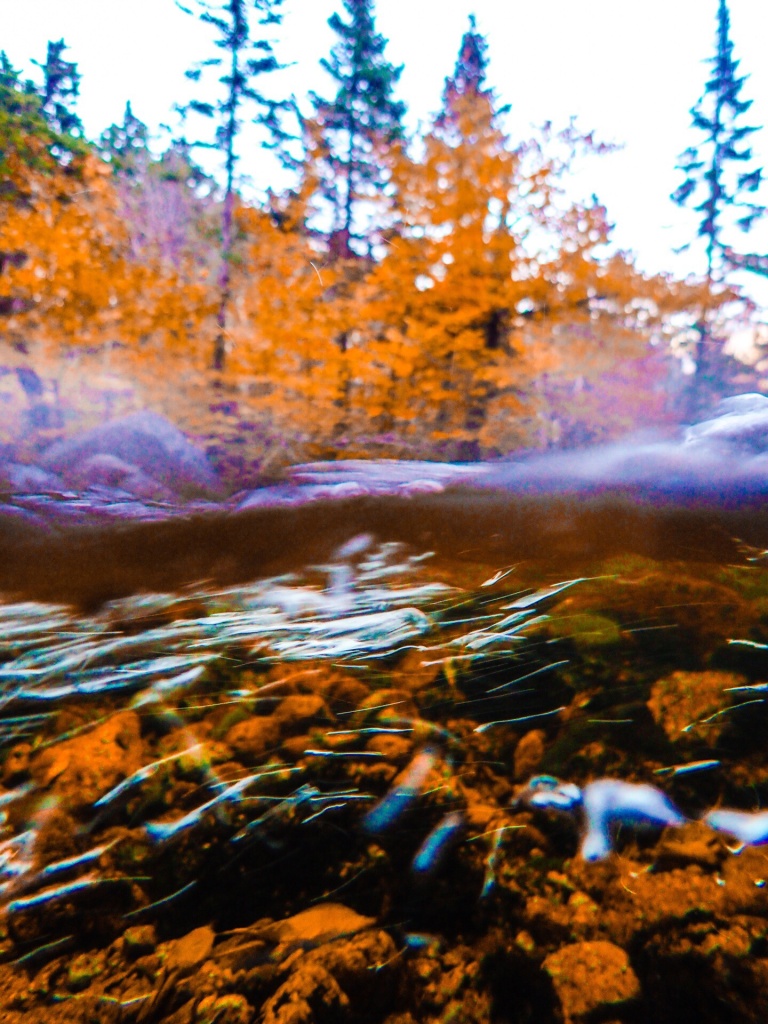 Mt Katahdin, ME Stream Underwater