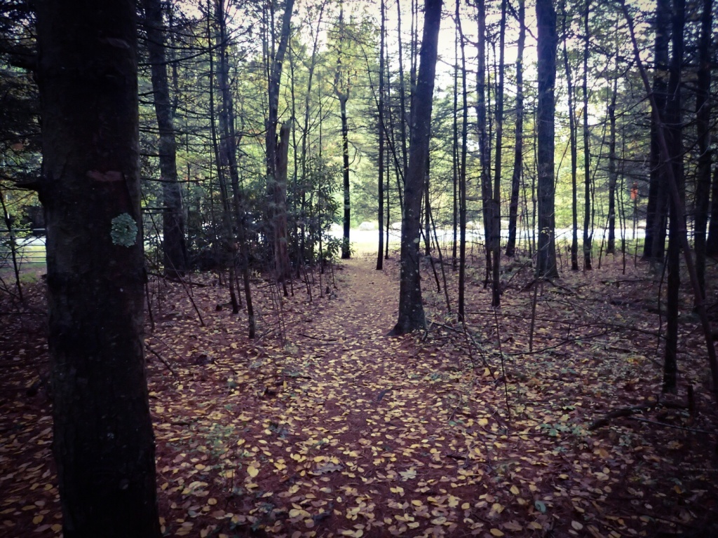 Jerimoth, RI Trailhead