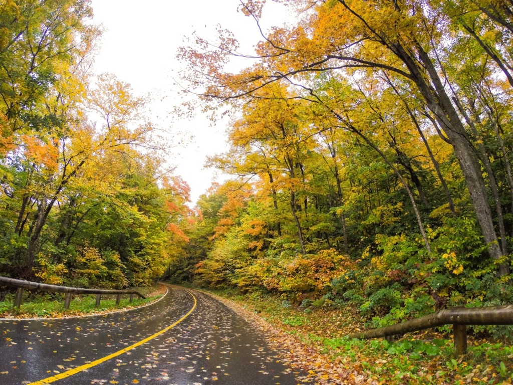 Drive Up Mt Greylock 3