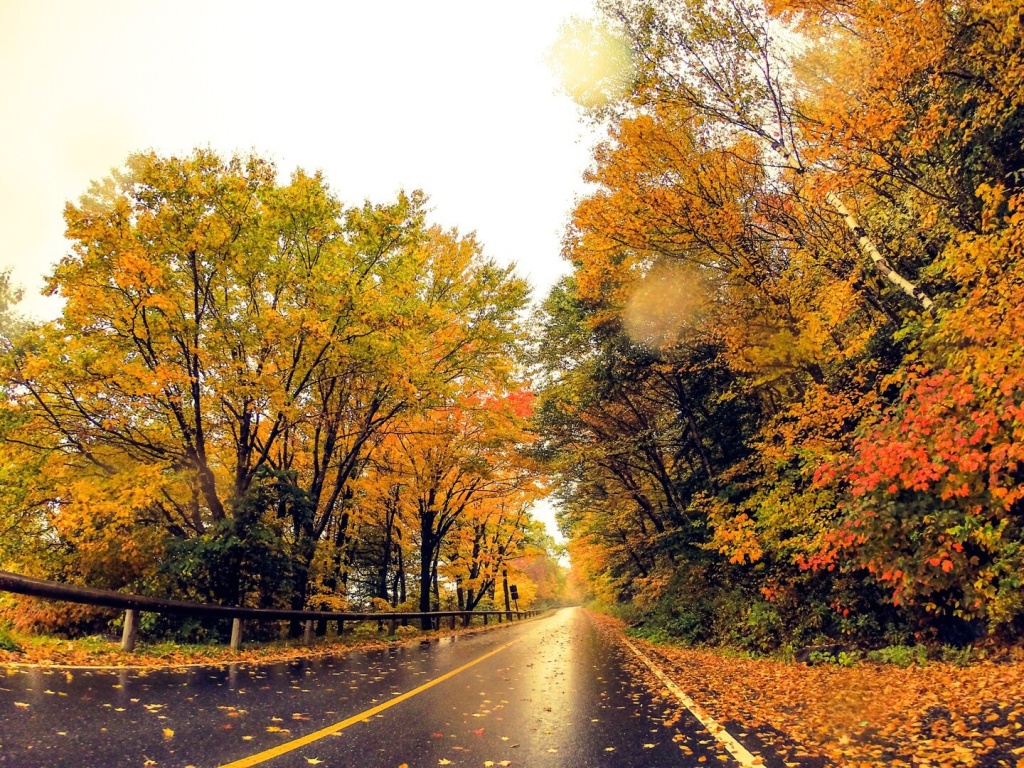 Drive Up Mt Greylock 4