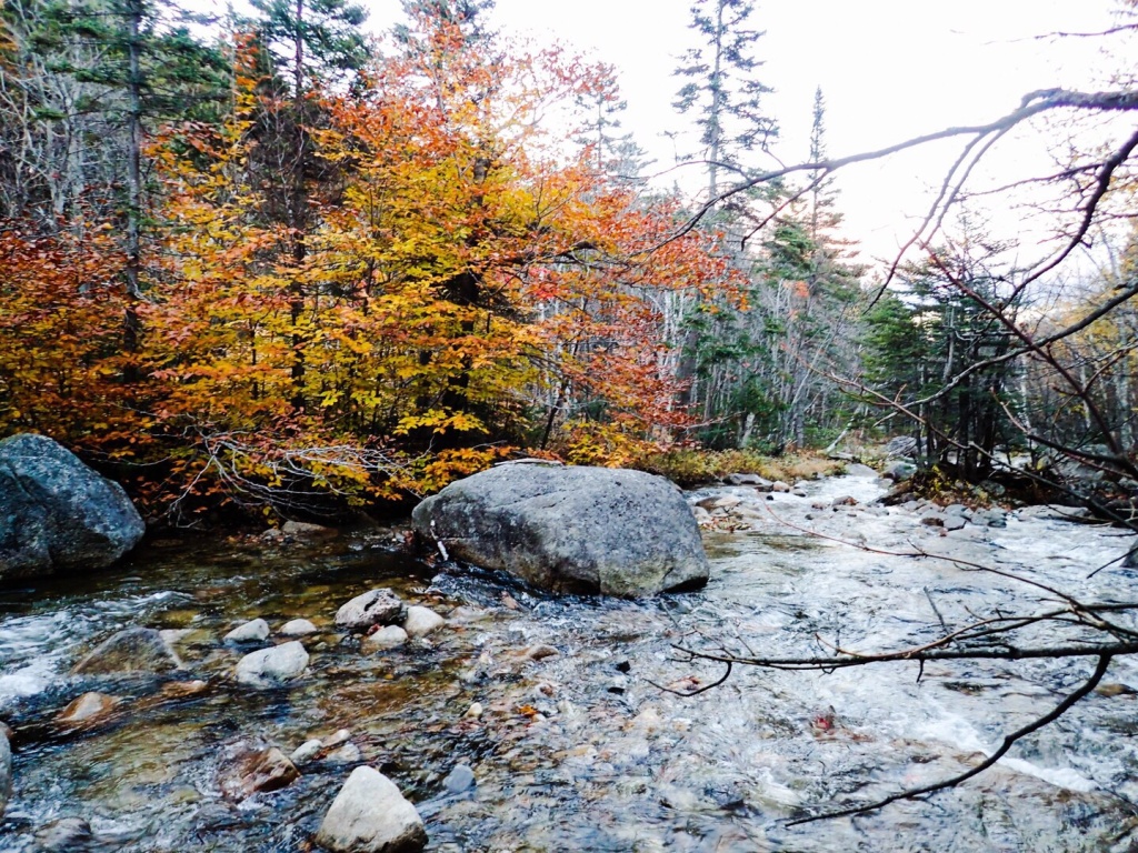 Mt Katahdin, ME Stream