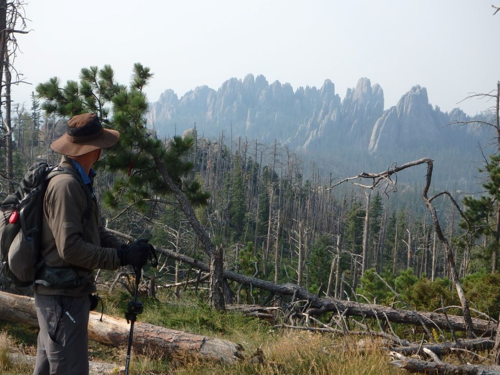 Harney Peak SD Spires Beyond Forest