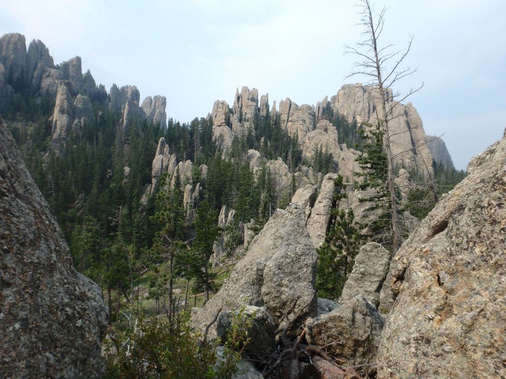 Harney Peak SD Spire Forest