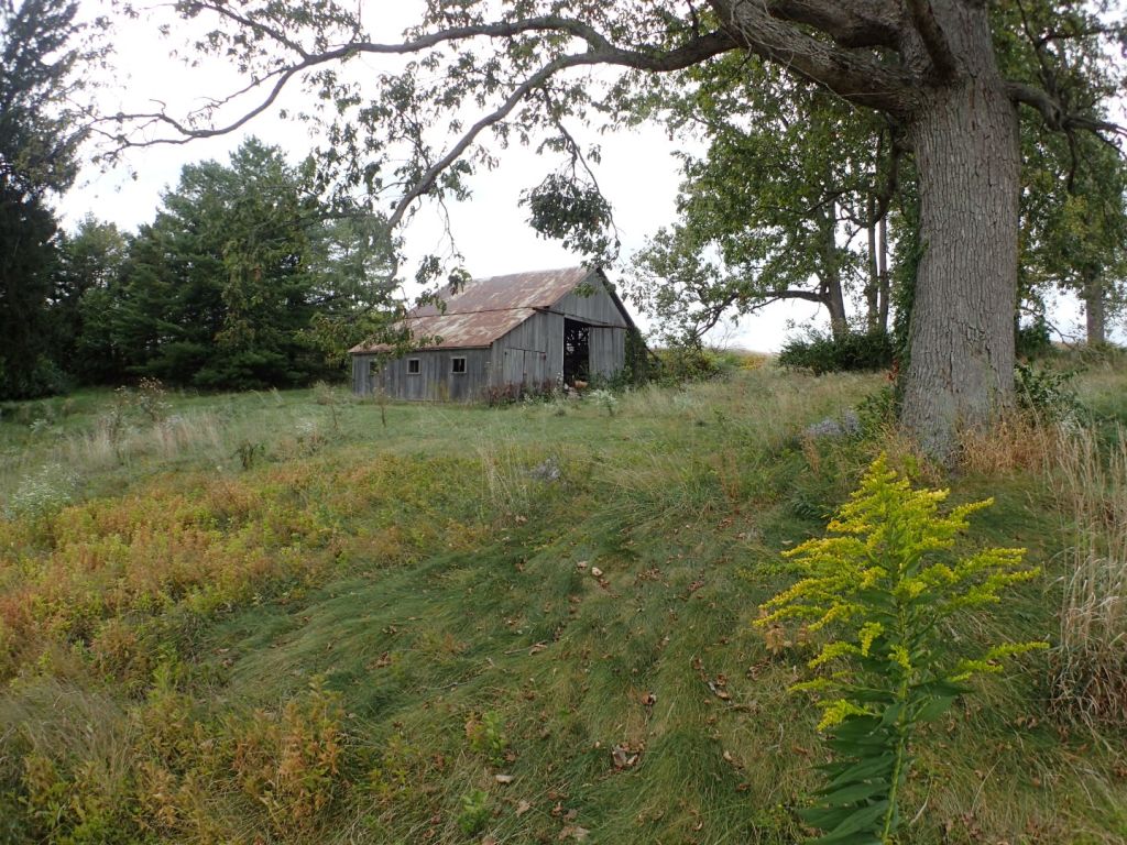 One of many picturesque barns along the way