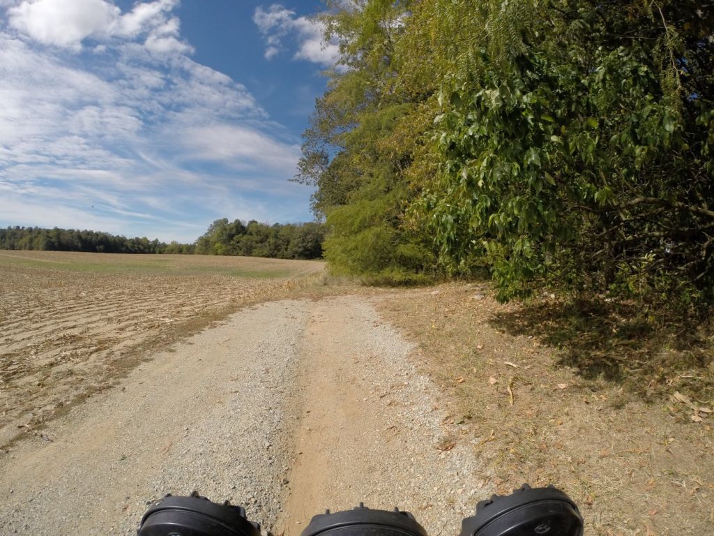 The highpoint is a few steps into the woods to the right