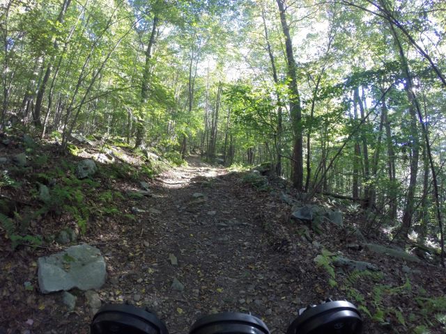 The Backbone Mountain summit trail