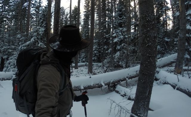 Climbing over and around the extensive tree-fall in snowshoes made navigating the woods a challenge. 