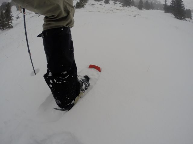 Even with snowshoes, the soft snow gave way beneath me.