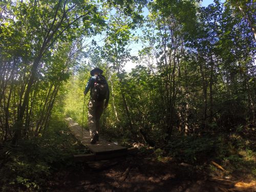 There are a few boardwalks passing over boggy areas, but the trail was solid.