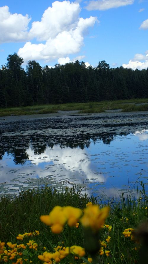 A serene pond I happened upon, just a few miles from the trailhead.