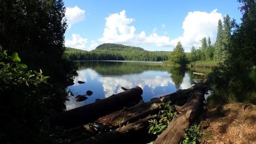 A view from the edge of Whale Lake.