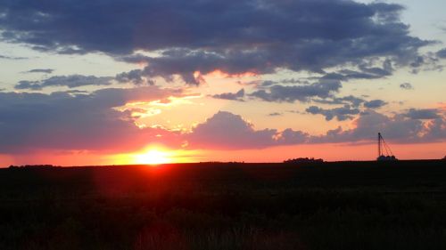 An Iowa sunset, across a field of ripe corn.