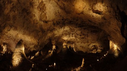 One of the incredibly large rooms in Carlsbad Caverns.